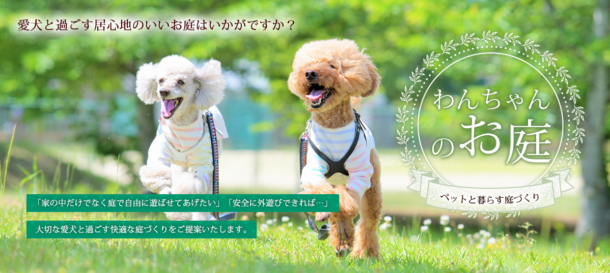 「わんちゃんのお庭」づくり。愛犬が庭で自由に、安全に遊べる快適な空間をご提案。ペットと暮らす理想の庭づくりをお手伝いします。