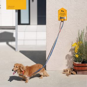 ドッグパーキング